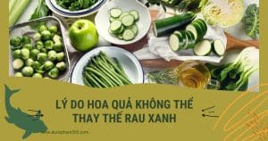 ly do hoa qua khong thay the duoc rau xanh
