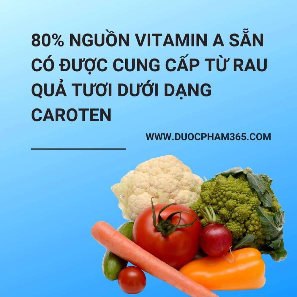 rau xanh cung cap luong vtm a doi dao