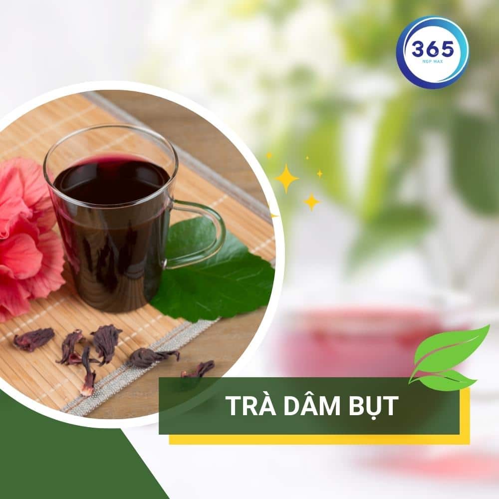 Trà hoa dâm bụt giúp hạ huyết áp