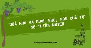 anh bia qua nho ruou nho