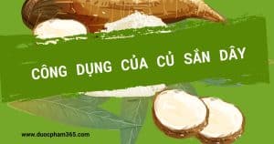 cong dung cua san day