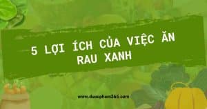 anh bia 5 loi ich cua viec an rau xanh