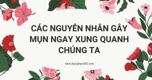 anh bia cac nguyen nhan gay mun