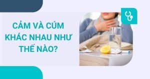 anh bia cam va cum khac nhau nhu nao