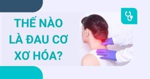 anh bia the nao la dau co xo hoa