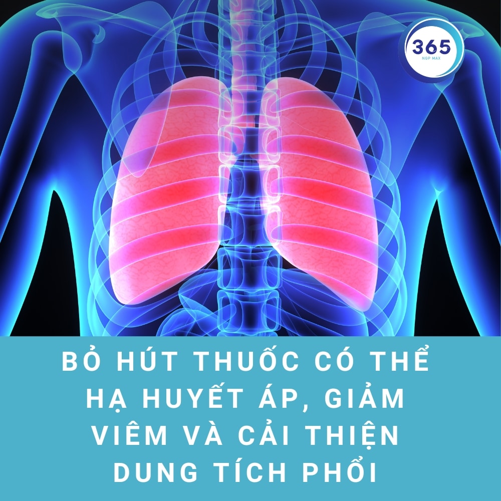 Nguy cơ đột quỵ từ việc hút thuốc lá 3 bo thuoc cai thien dung tich phoi