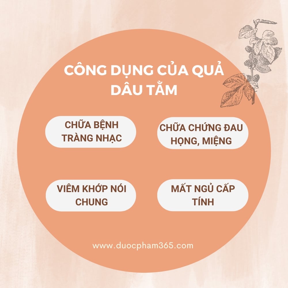 Dâu tằm: thứ quả dân dã giúp làm đẹp da, chữa tóc bạc sớm 2 Dâu tằm có nhiều tác dụng tốt với cơ thể