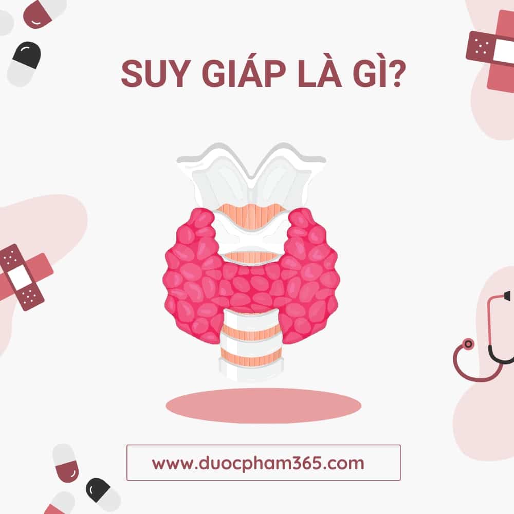suy giap la gi