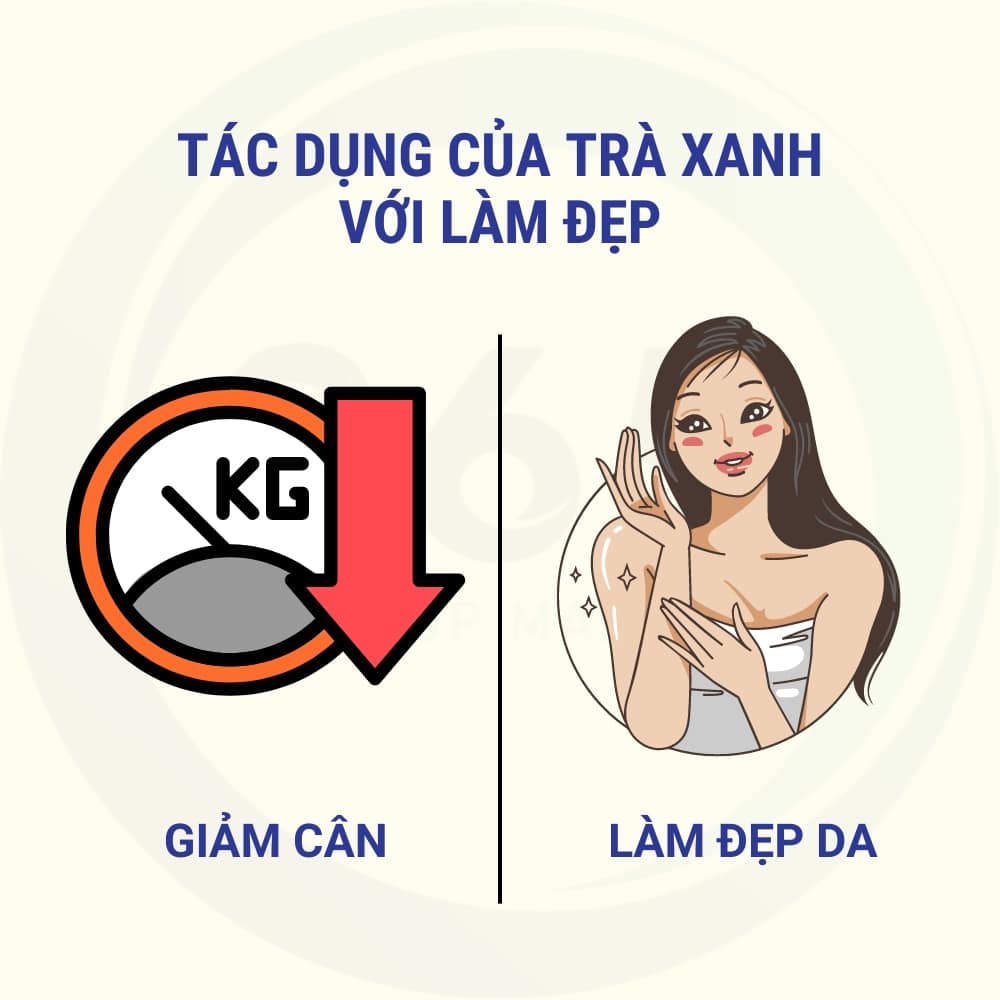 tac dung cua tra xanh lam dep 1