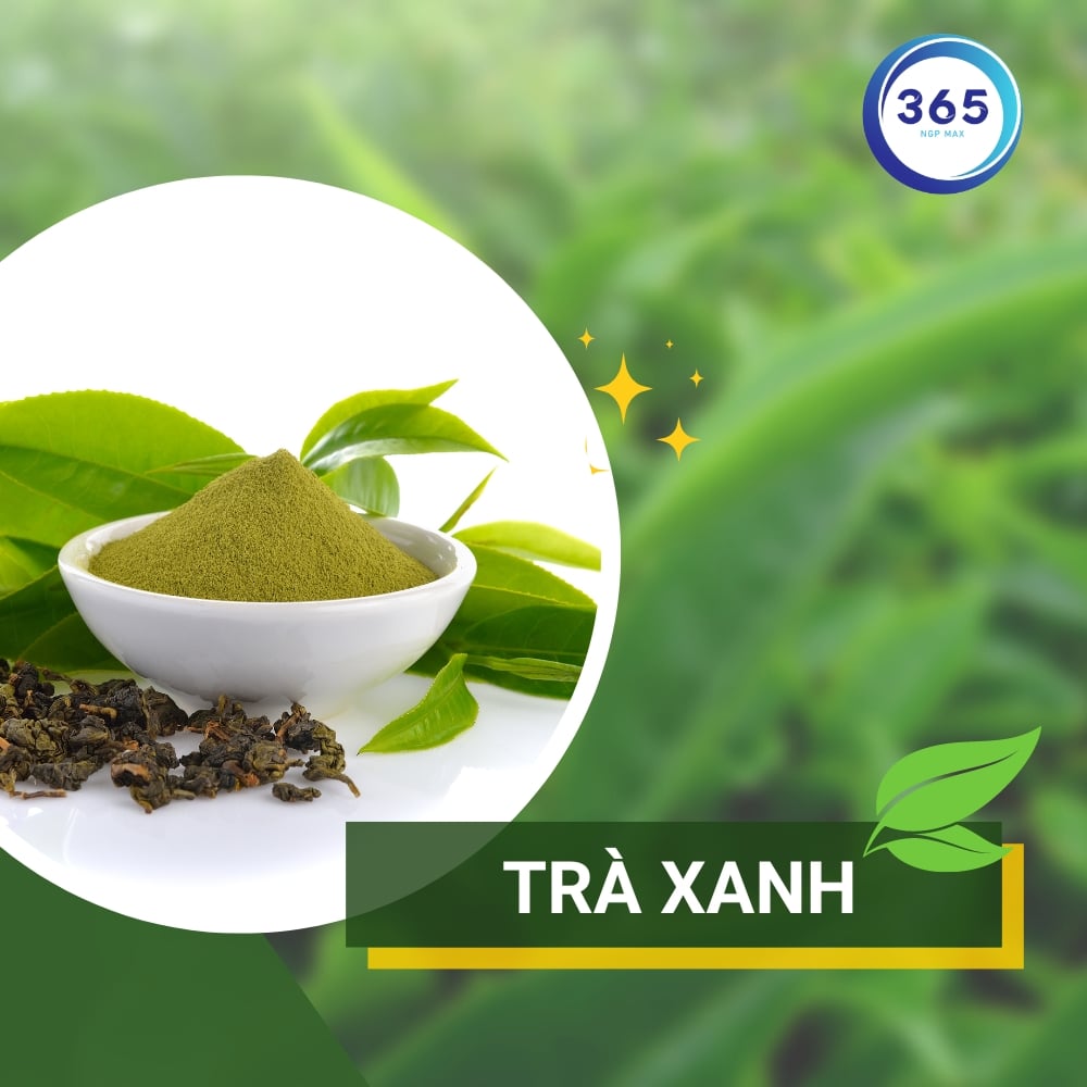 Trà xanh là loại thức uống được ưa chuống trên thế giới