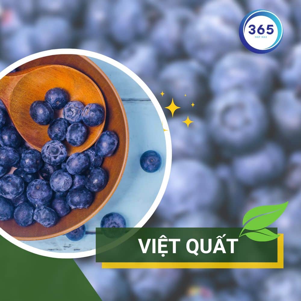 Siêu trái cây việt quất