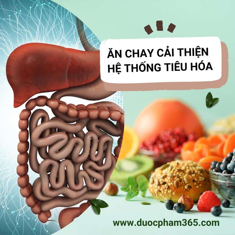 Lợi ích của việc ăn chay đúng cách 4 an chay giam cai thien he tieu hoa