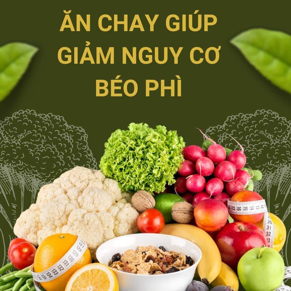 Lợi ích của việc ăn chay đúng cách 2 ăn chay giảm nguy cơ béo phì