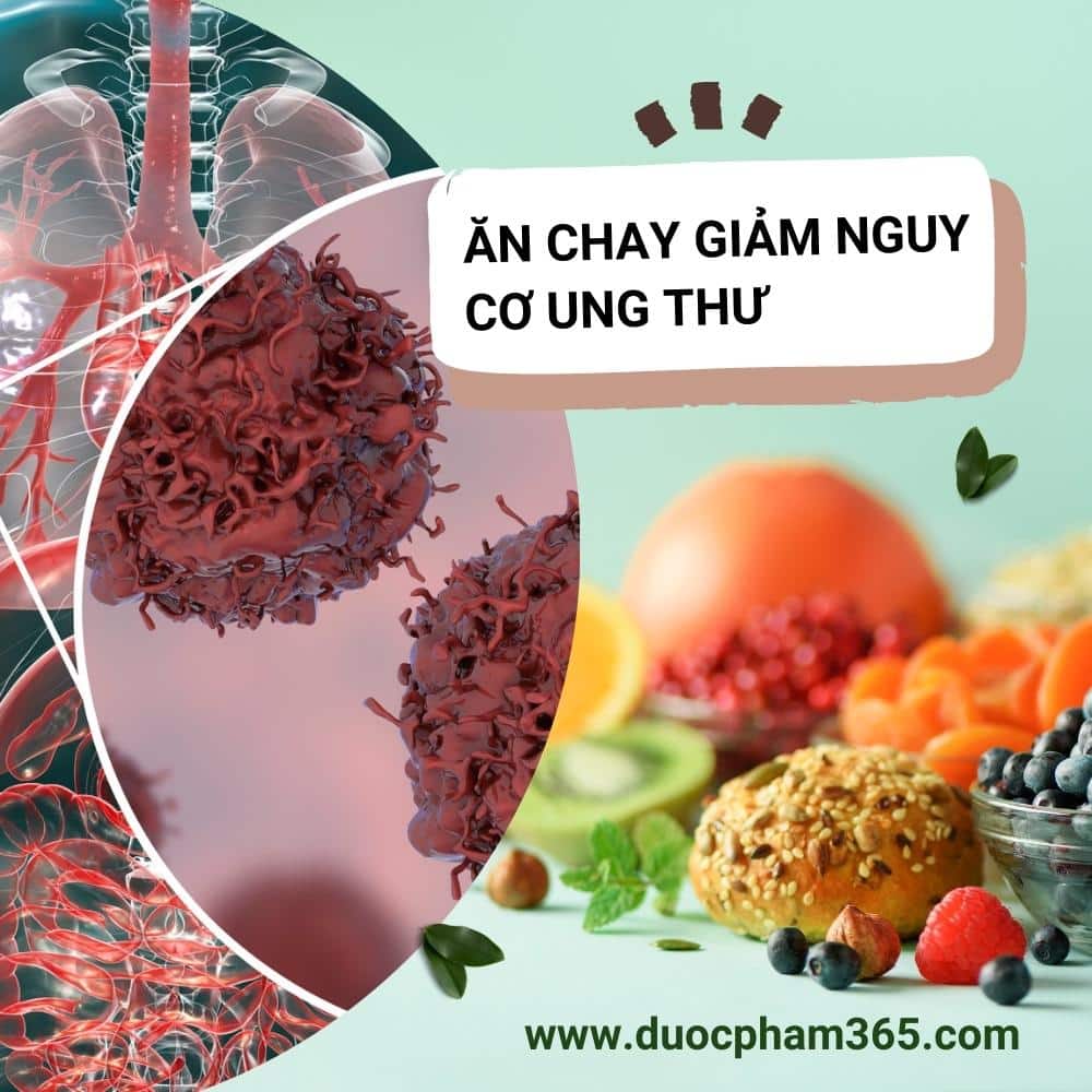 Lợi ích của việc ăn chay đúng cách 6 an chay giup giam nguy co ung thu