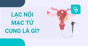 anh bia lac noi mac tu cung