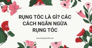 anh bia rung toc la gi