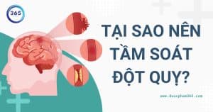 anh bia tai sao nen tam soat dot quy