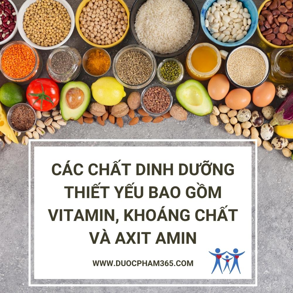cac chat dinh duong thiet yeu