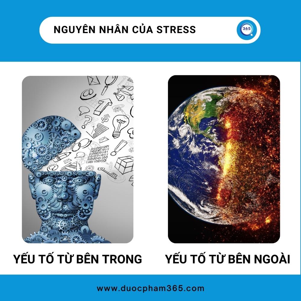 Các yếu tố dẫn đến stress