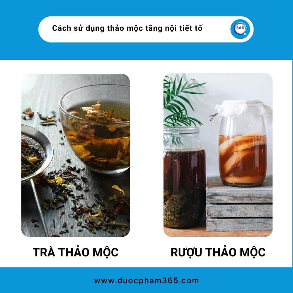 Làm cách nào để tăng nội tiết tố nữ 4 cach su dung thao moc tang noi tiet to