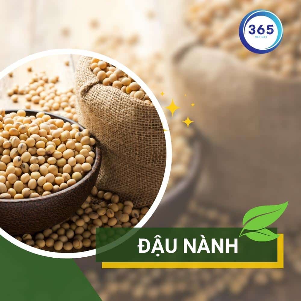 Làm cách nào để tăng nội tiết tố nữ 2 dau nanh