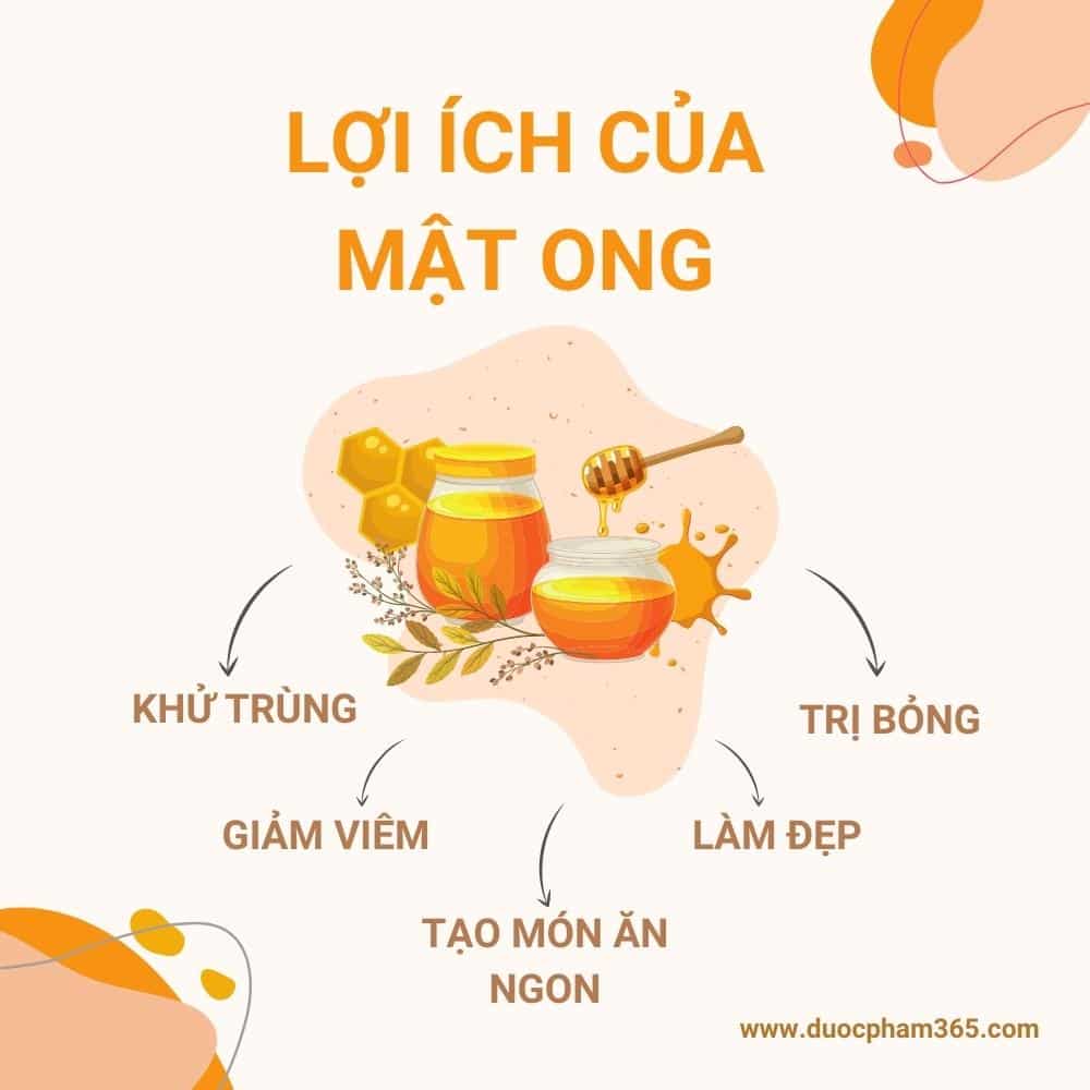 loi ich cua mat ong