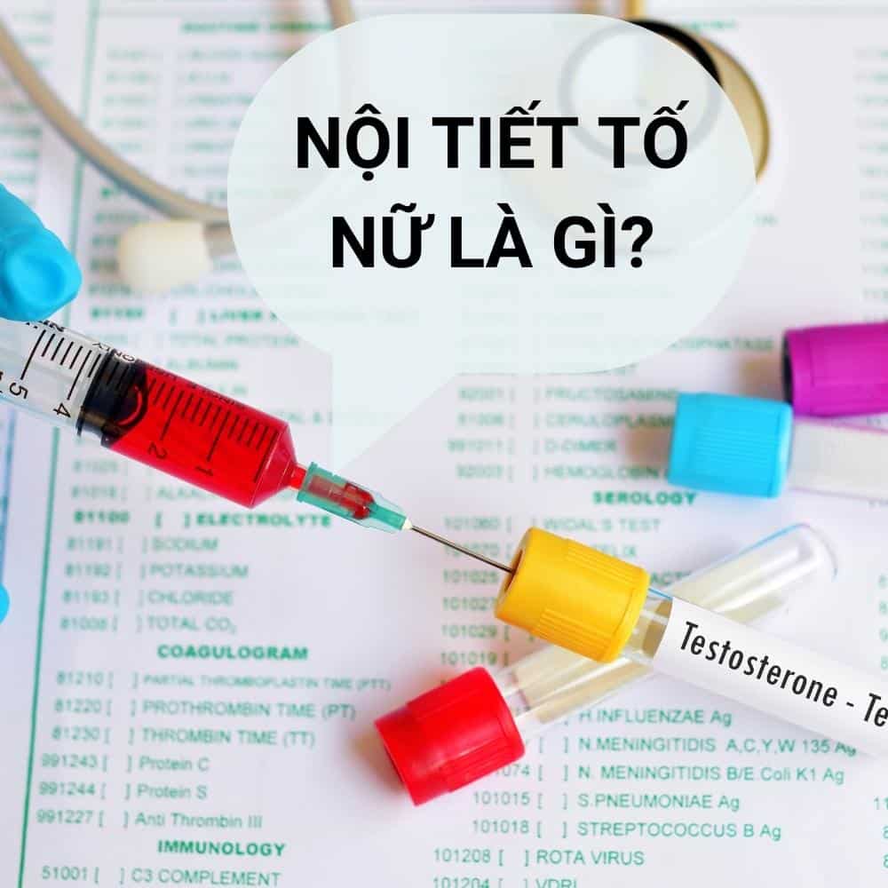 Làm cách nào để tăng nội tiết tố nữ 1 noi tiet to nu la gi