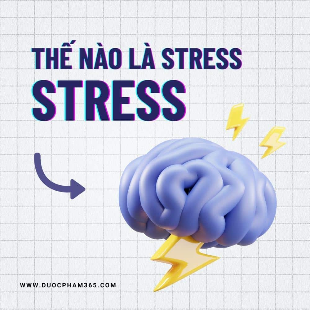 Stress là gì