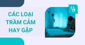 anh bia cac loai tram cam hay gap