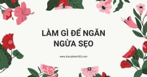 anh bia lam sao de ngan ngua seo