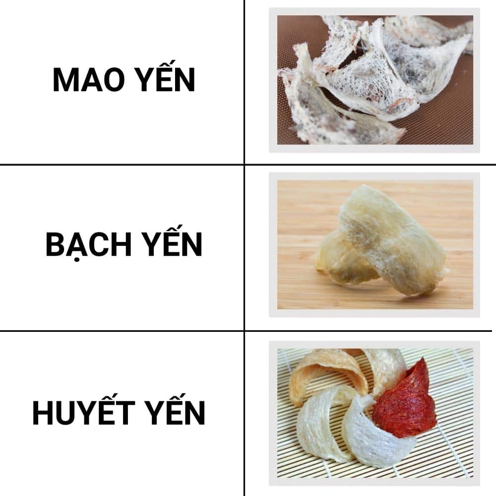 Yến sào có tác dụng gì? 1 Các loại yến sào