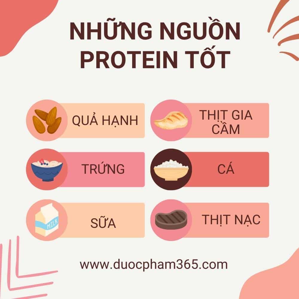 nguon protein tot