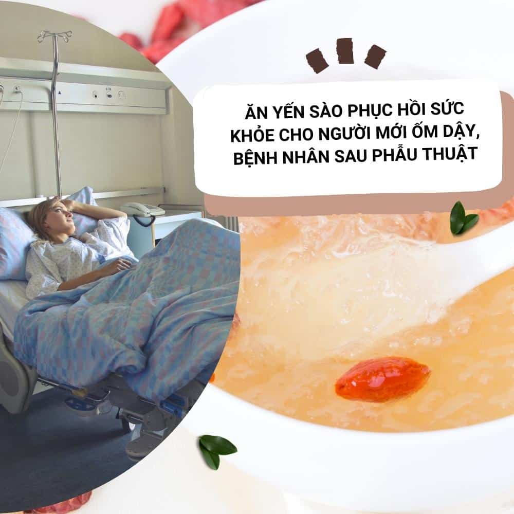 Yến sào có tác dụng gì? 4 yen sao giup phuc hoi suc khoe