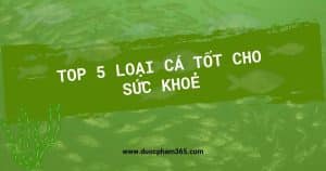 anh bia 5 loai ca tot cho suc khoe