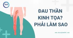 anh bia dau than kinh toa