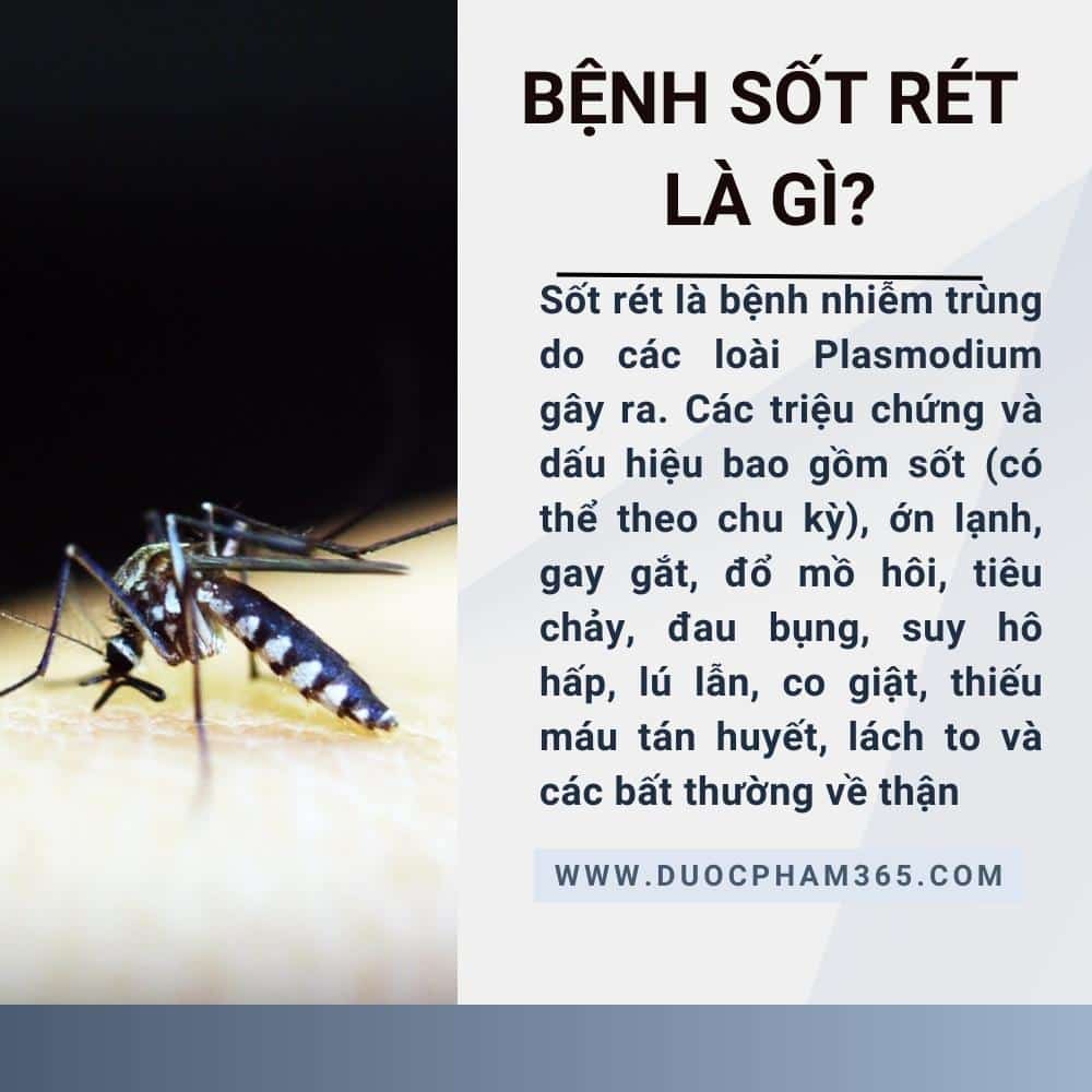 benh sot ret
