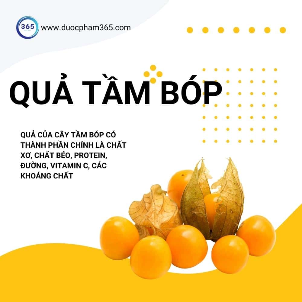 quả tầm bóp