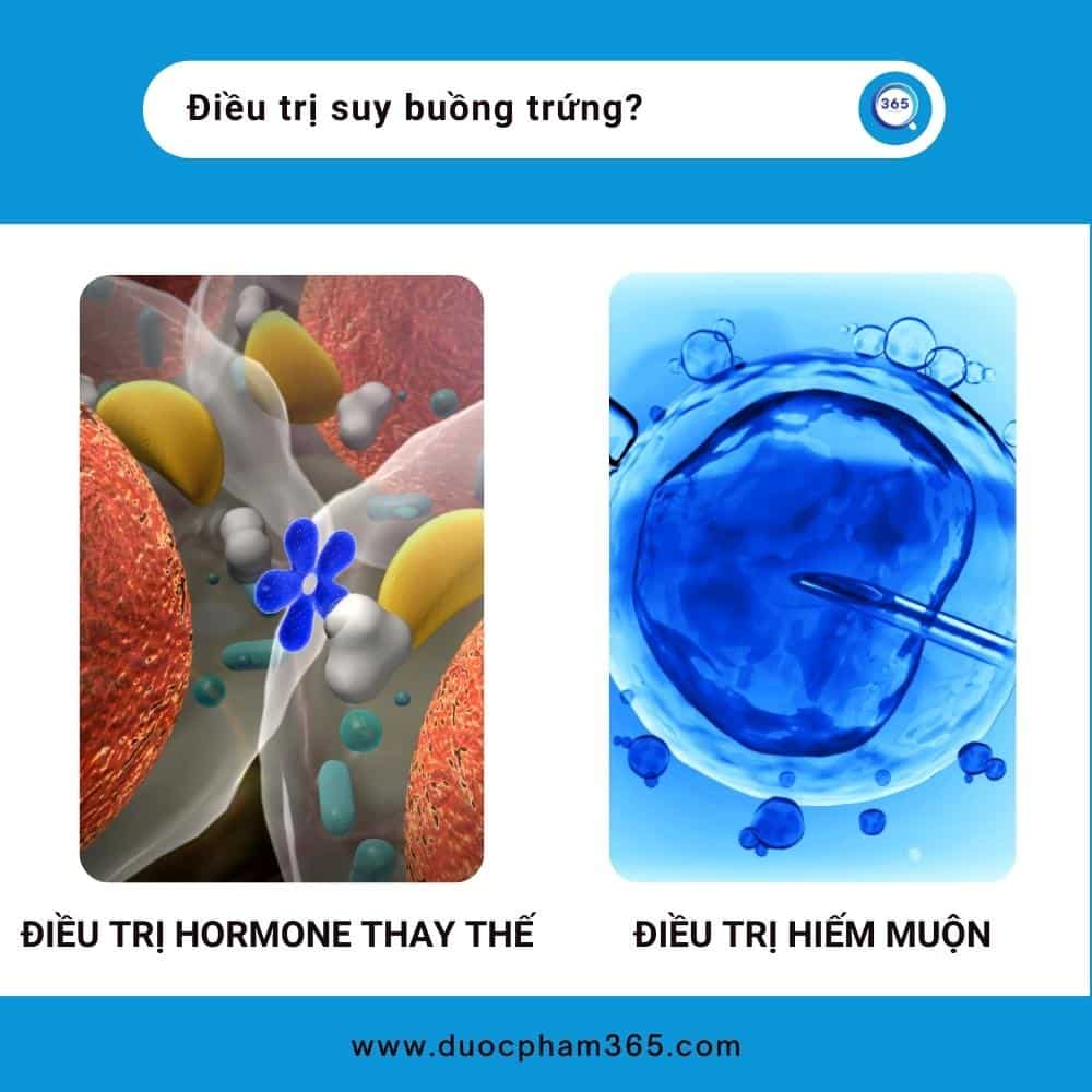 Suy buồng trứng là gì ? 3 suy buồng trứng