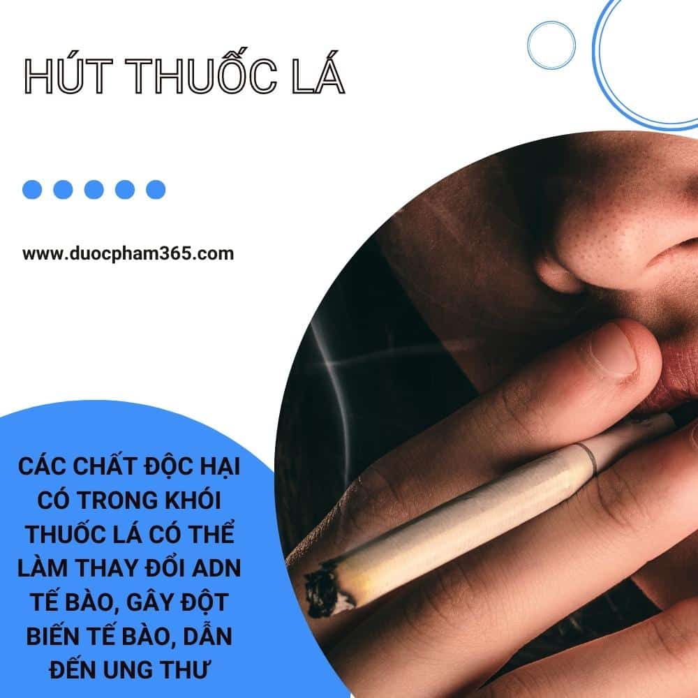 nguyên nhân dẫn đến ung thư