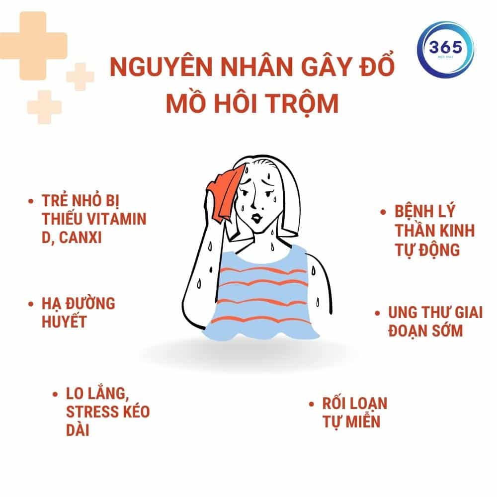 nguyen nhan gay do mo hoi trom