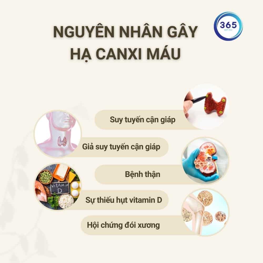nguyen nhan gay ha canxi trong mau