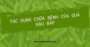 anh bia anh bia tac dung cua qua dau bap