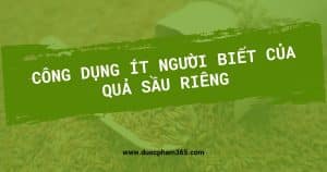 anh bia cong dung it nguoi biet cua sau rieng