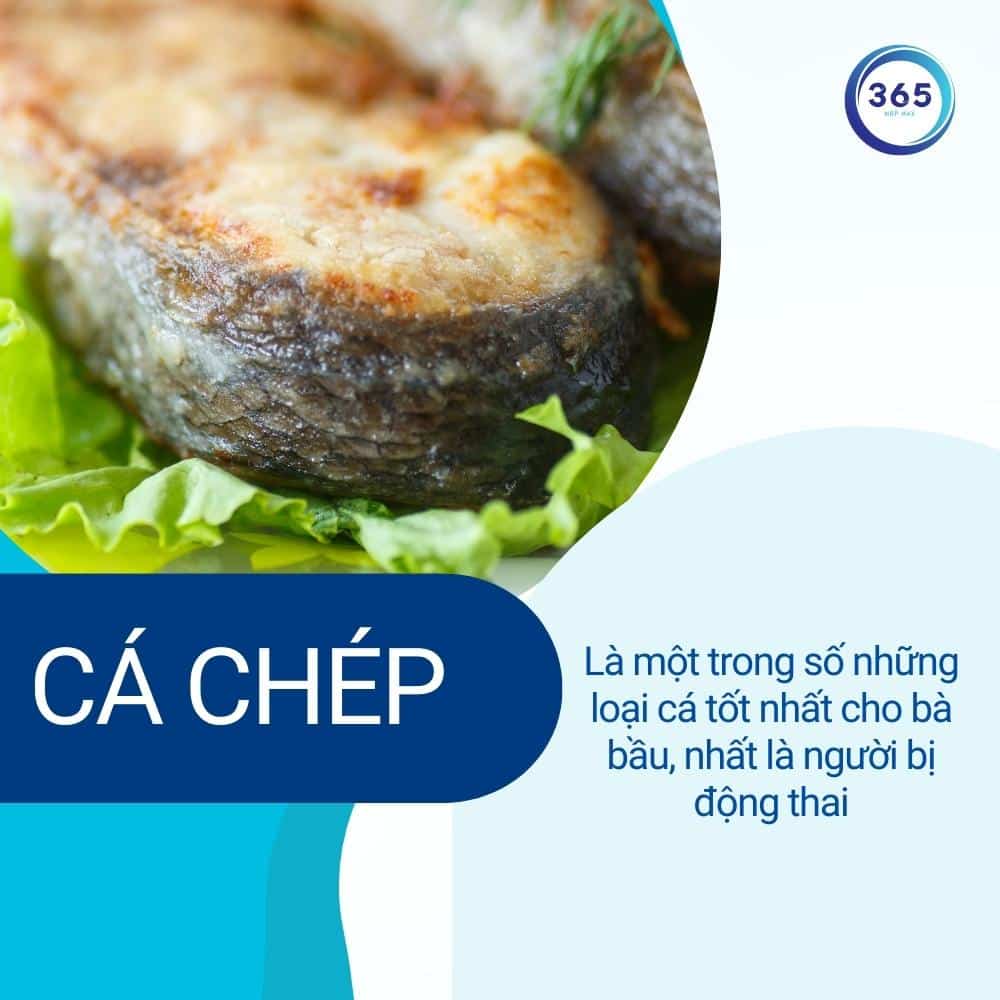 Ăn cá khi mang thai để giảm nguy cơ sinh non 4 ca chep tot cho phu nu dong thai