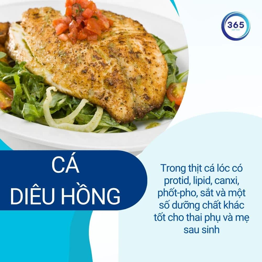 Ăn cá khi mang thai để giảm nguy cơ sinh non 5 ca dieu hong tot cho phu nu sau sinh 2