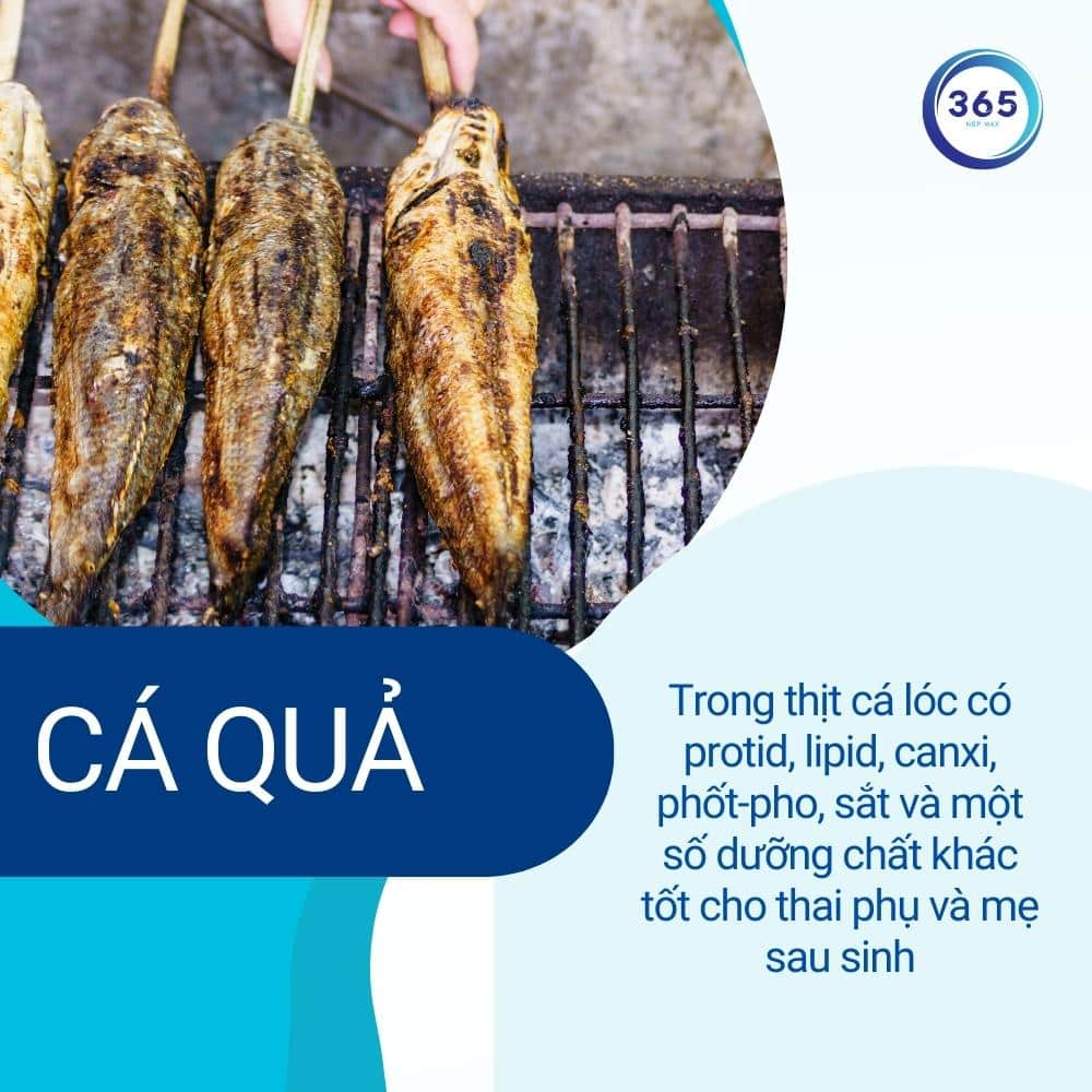 Ăn cá khi mang thai để giảm nguy cơ sinh non 3 ca loc tot cho phu nu sau sinh