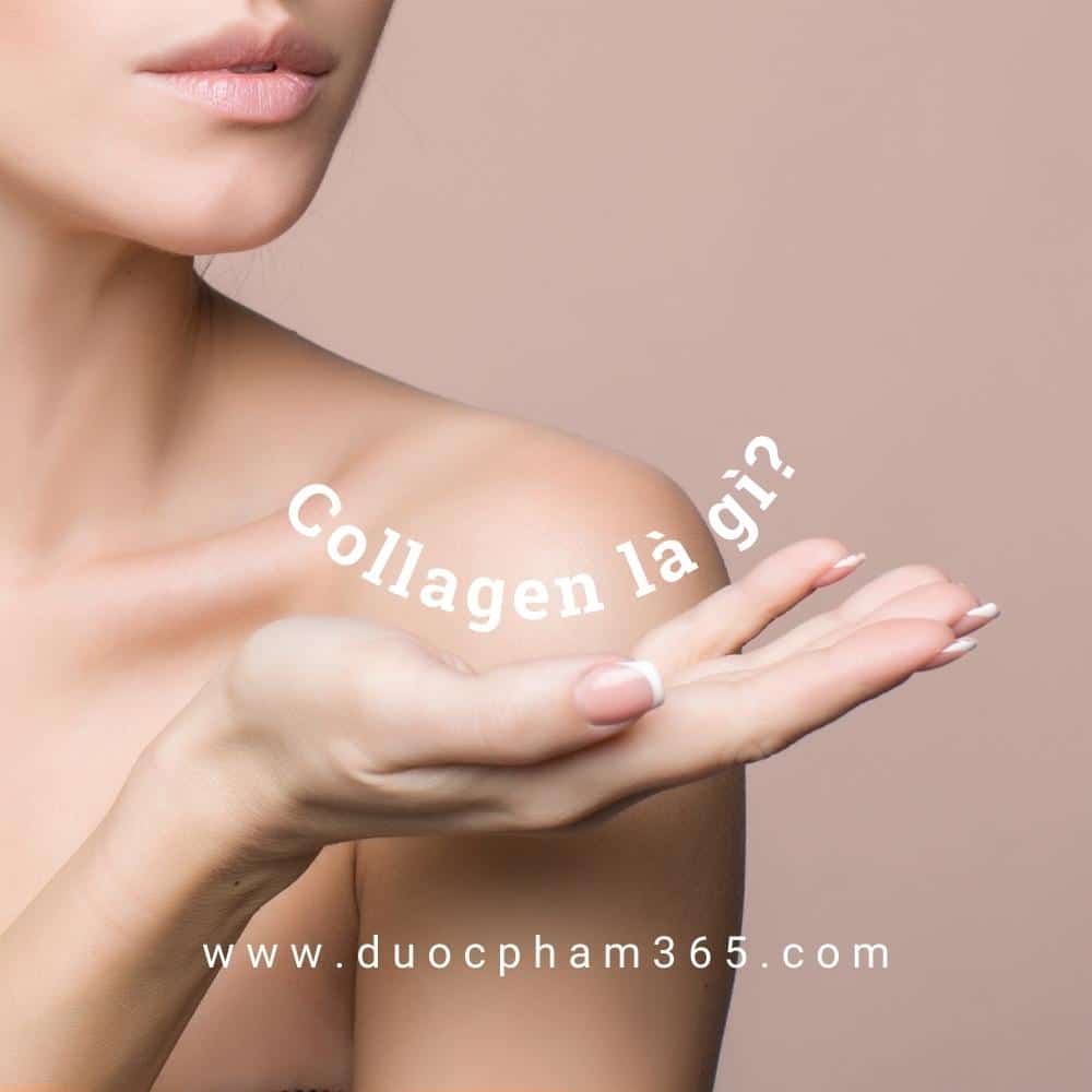 collagen la gi