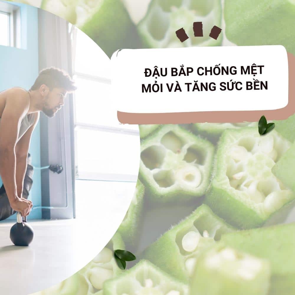 Tác dụng chữa bệnh của quả đậu bắp 4 dau bap chong met moi
