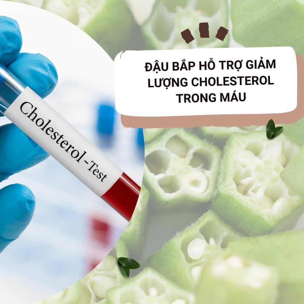 Tác dụng chữa bệnh của quả đậu bắp 1 dau bap giam luong cholesteol trong mau