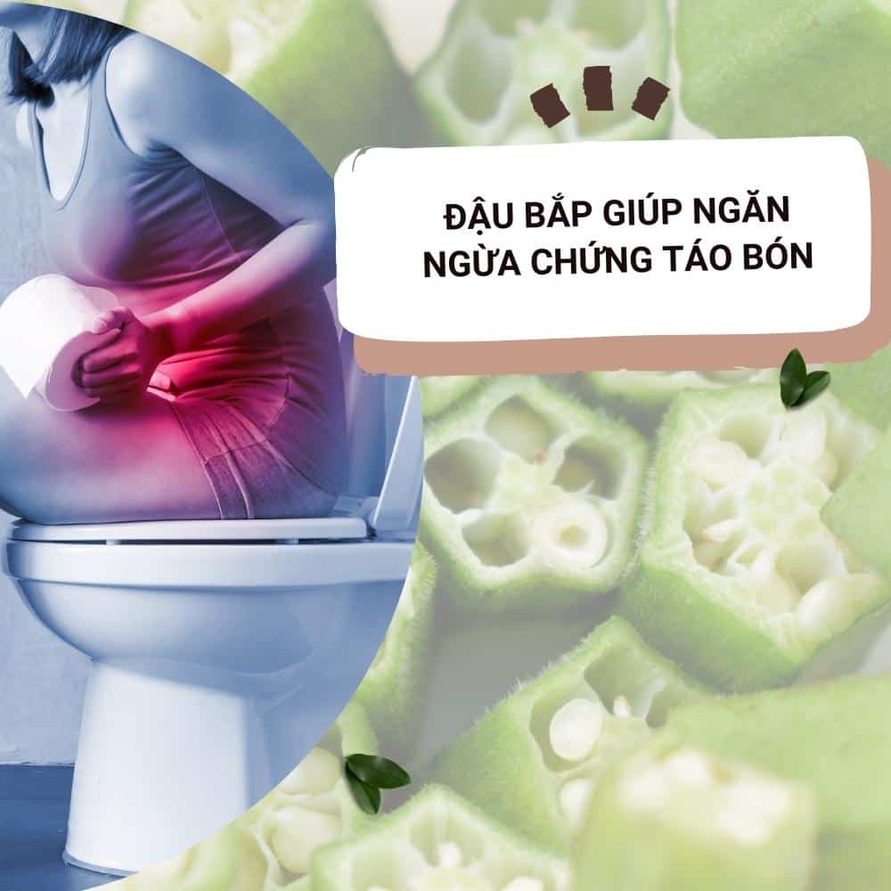 Tác dụng chữa bệnh của quả đậu bắp 2 dau bap giup ngan ngua tao bon